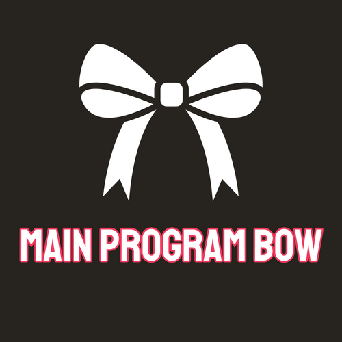 MAIN PROGRAM BOW